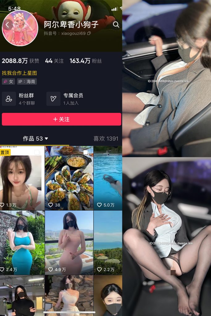 阿尔卑香小狗子 - 觅圈微密圈合集[64套]4月最新作品