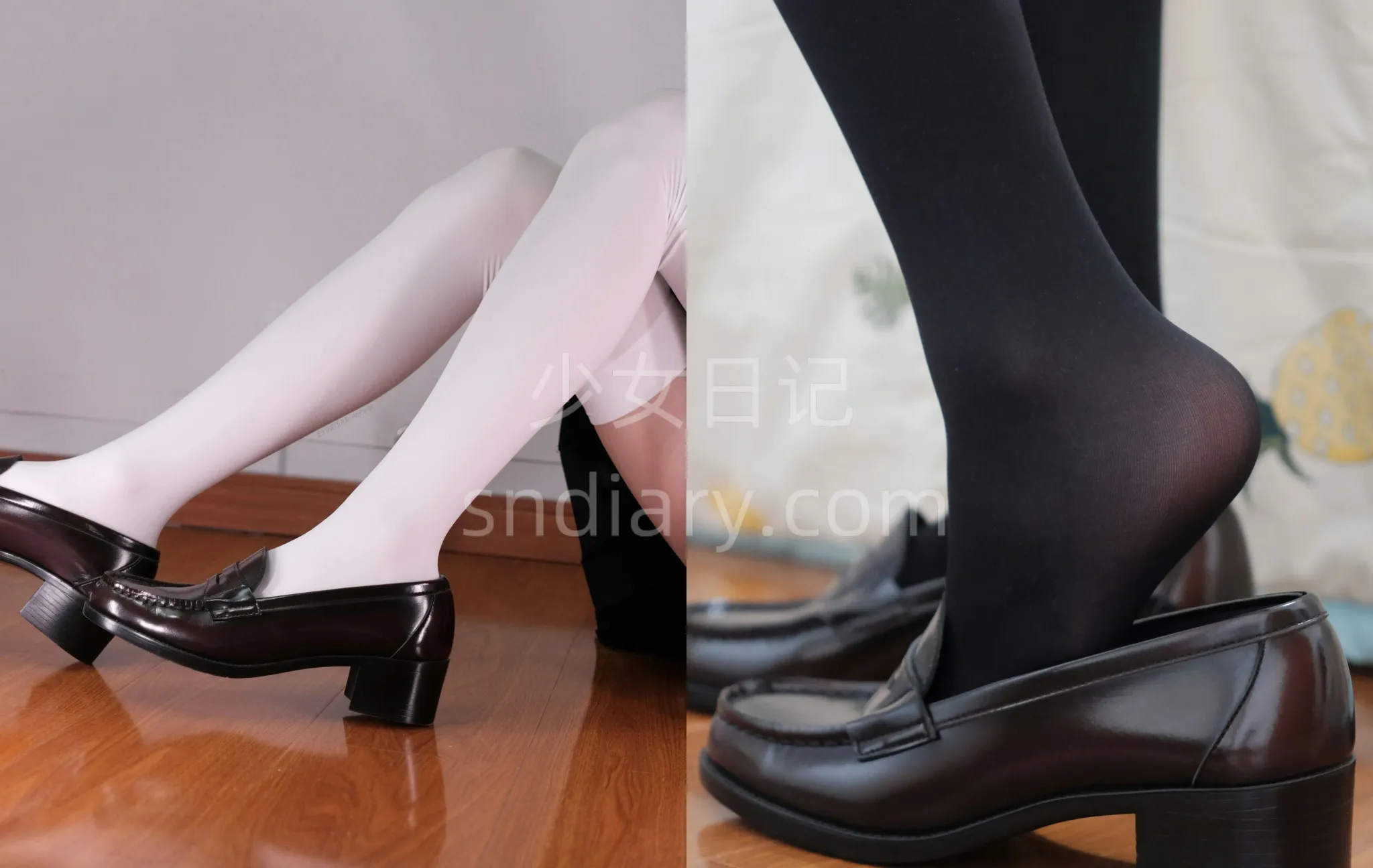 芝士好椰 – 充电专属资源合集 – 89GB – 2024年更新中