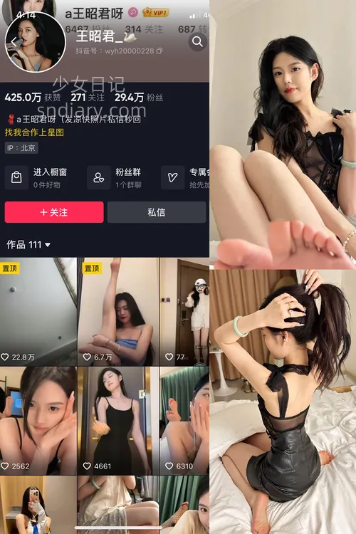 王昭君 – 最新微密圈资源合集 – 25套 – 2024更新中