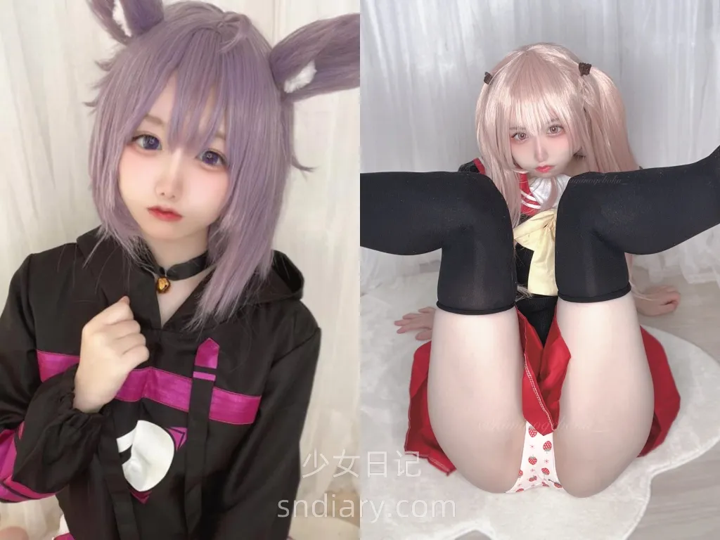 わんこちゃん 写真合集[74GB][2025年资源更新中]