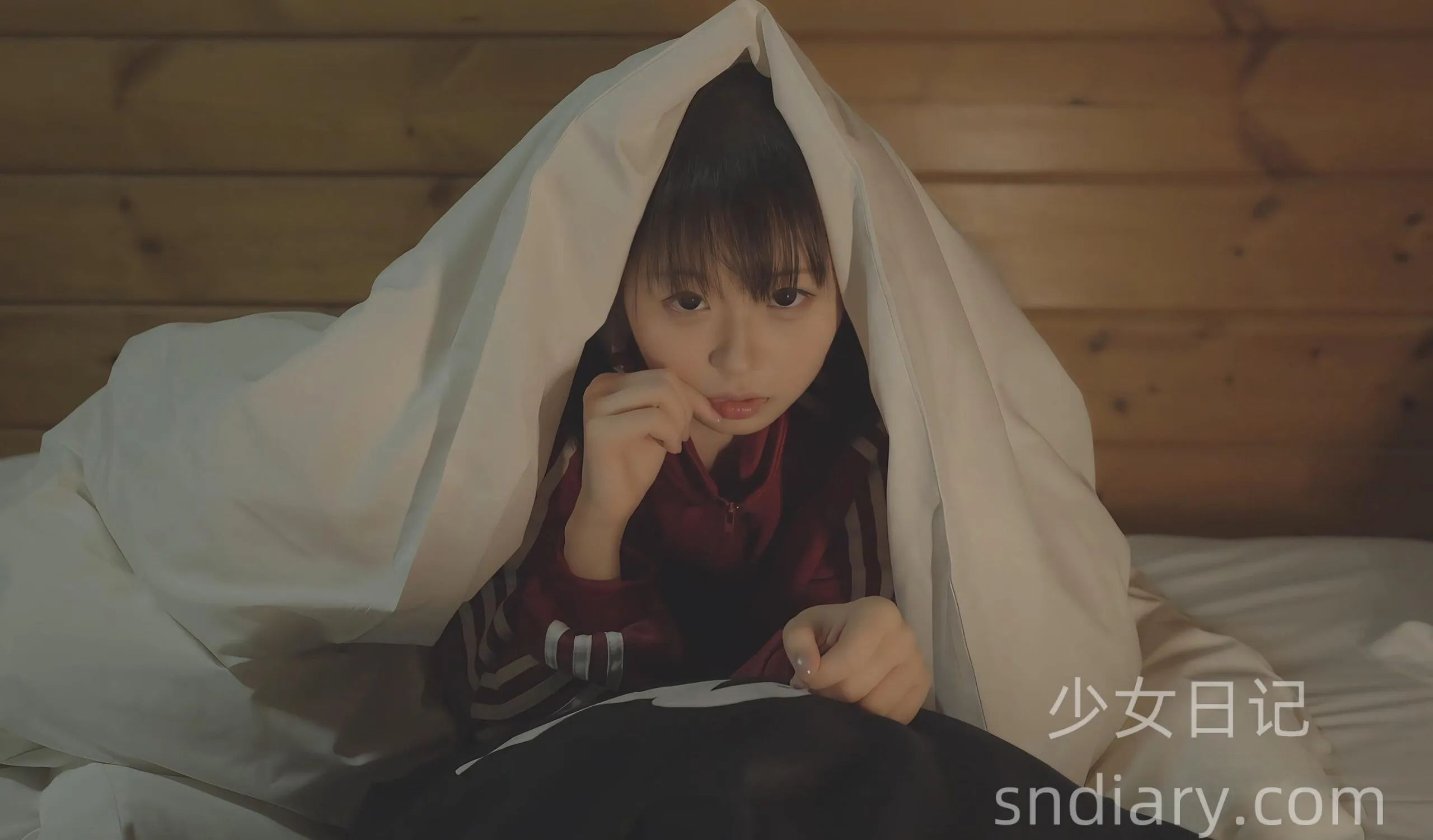 叫兽默示录 – 资源下载 – 13GB