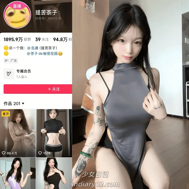 提苦茶子 岛遇合集[2025年最新抖音资源更新中]