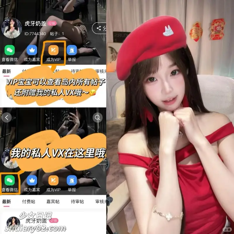 虎牙奶盖 资源合集岛遇下载[反差写真]