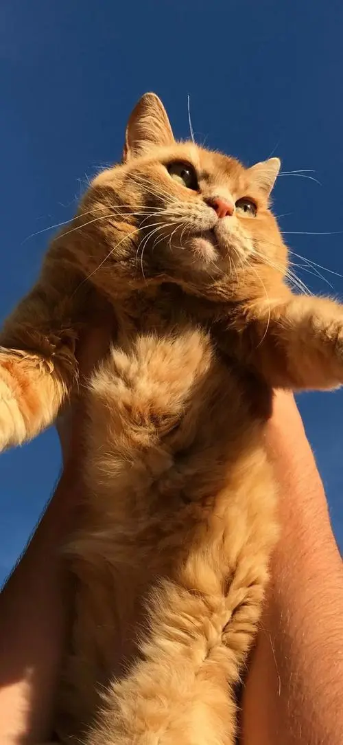 kkkwww