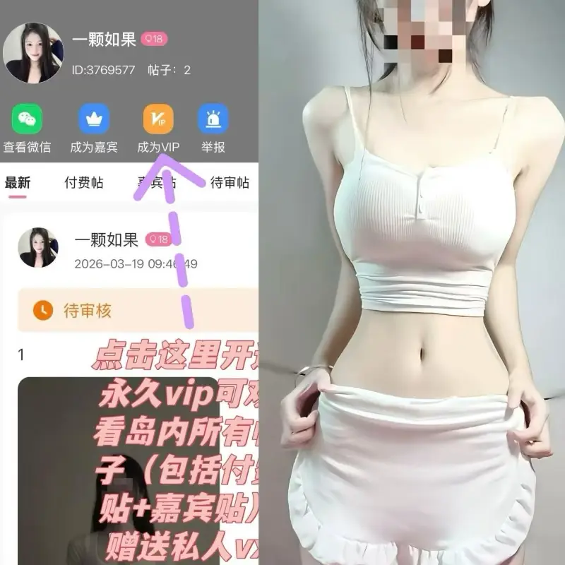 一颗如果 – 最新电鸽资源岛遇合集 – 2026更新中