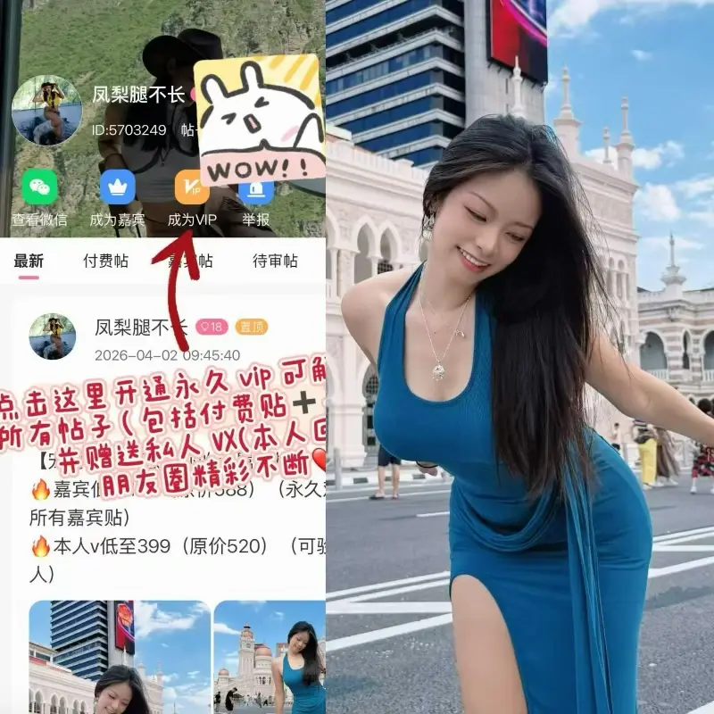 凤梨腿不长 – 最新电鸽资源岛遇合集 – 2026更新中