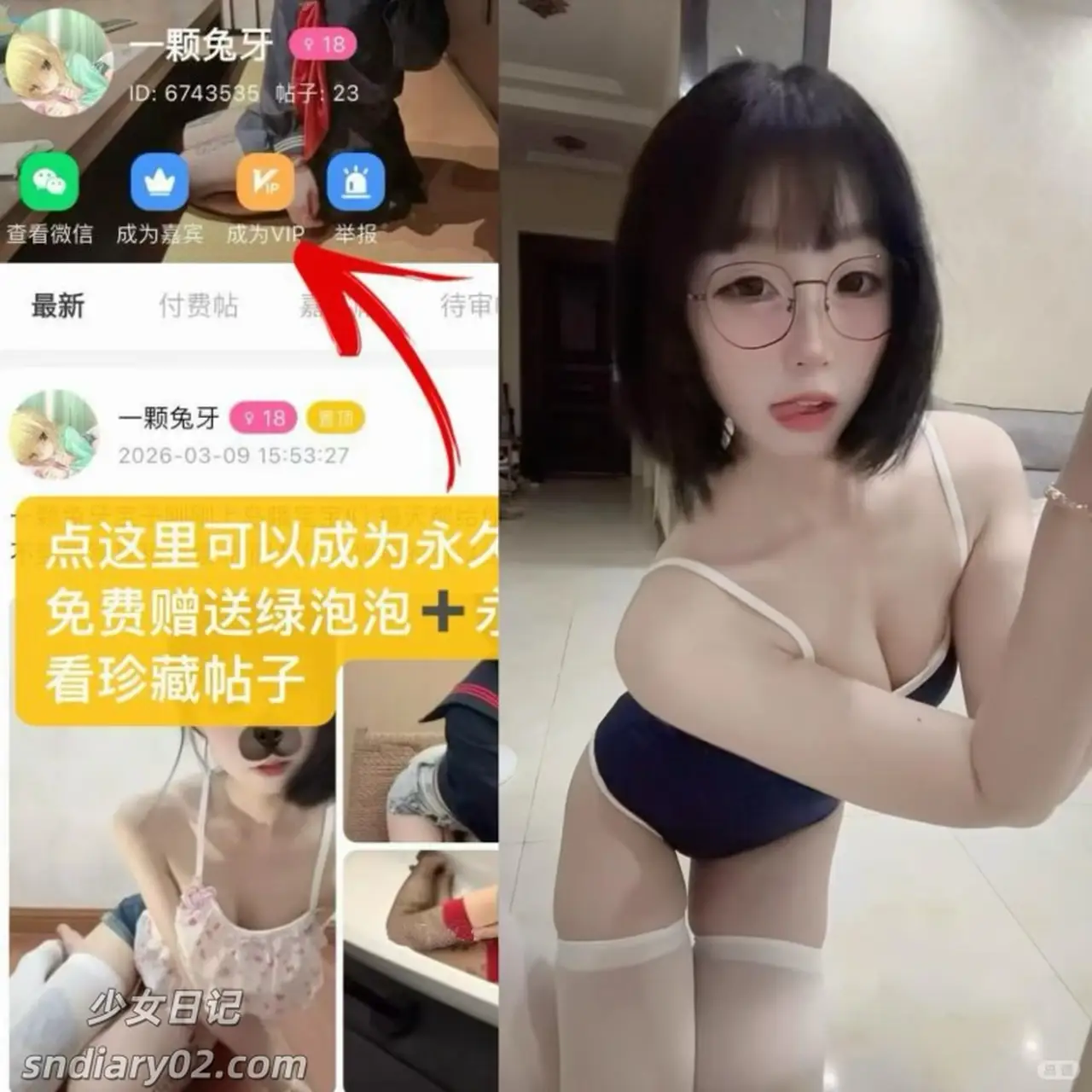 一颗兔牙 – 电鸽资源岛遇合集