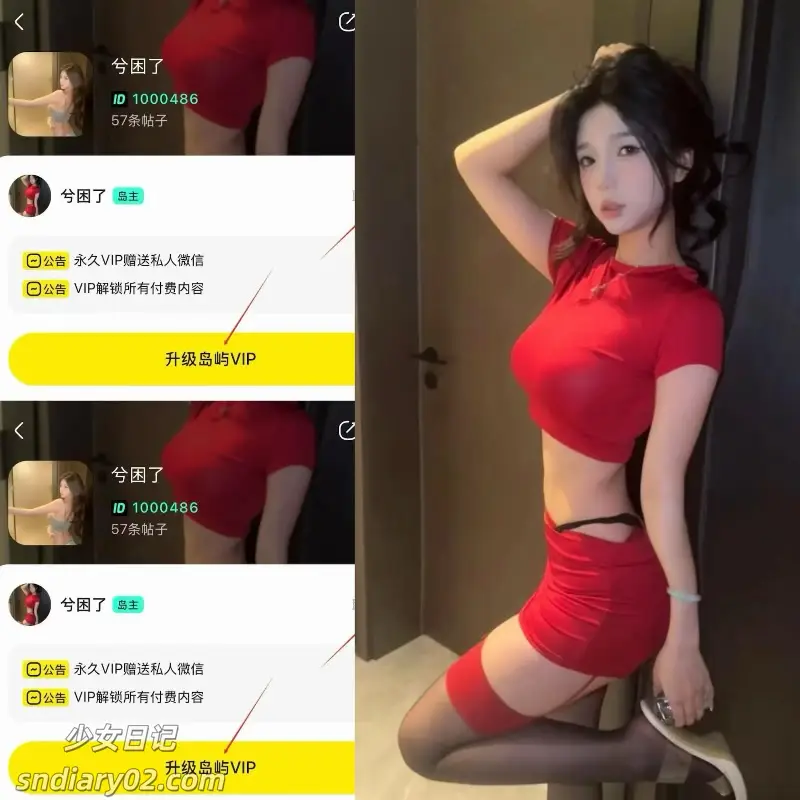 兮困了 抖音电鸽资源合集下载