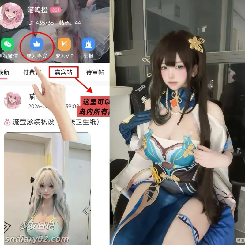 喵呜橙 – 最新电鸽资源岛遇合集