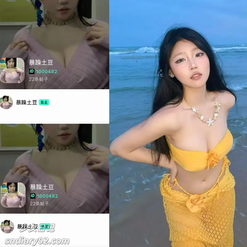 暴躁土豆 – 最新电鸽资源趣岛合集