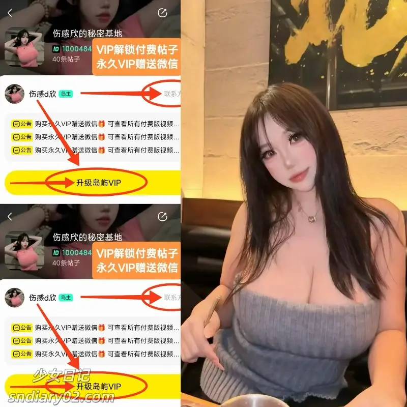 伤感d欣 – 最新电鸽资源趣岛合集