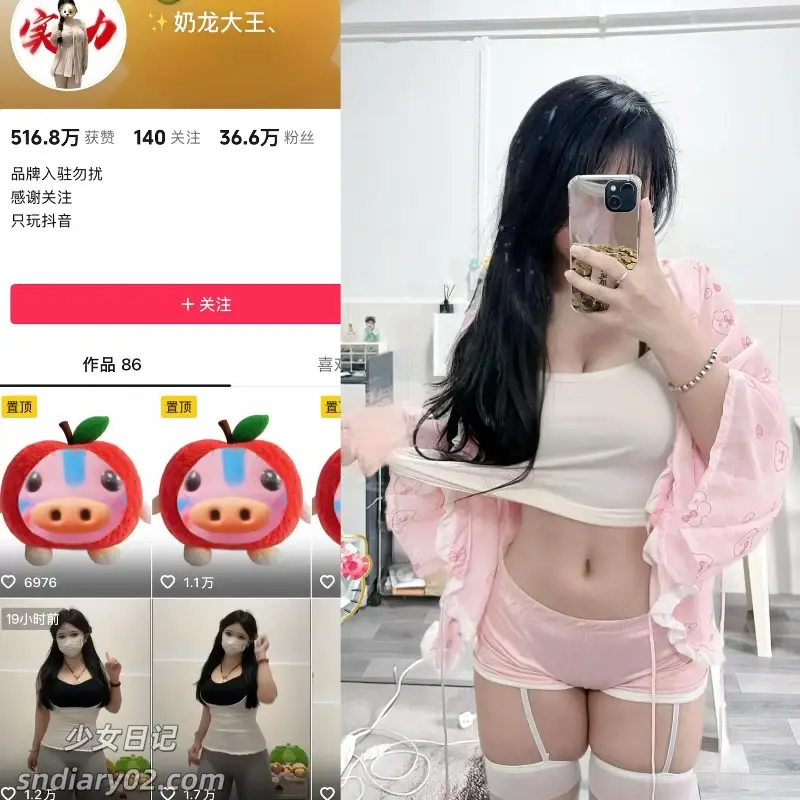 奶龙大王 – 最新电鸽资源趣岛合集
