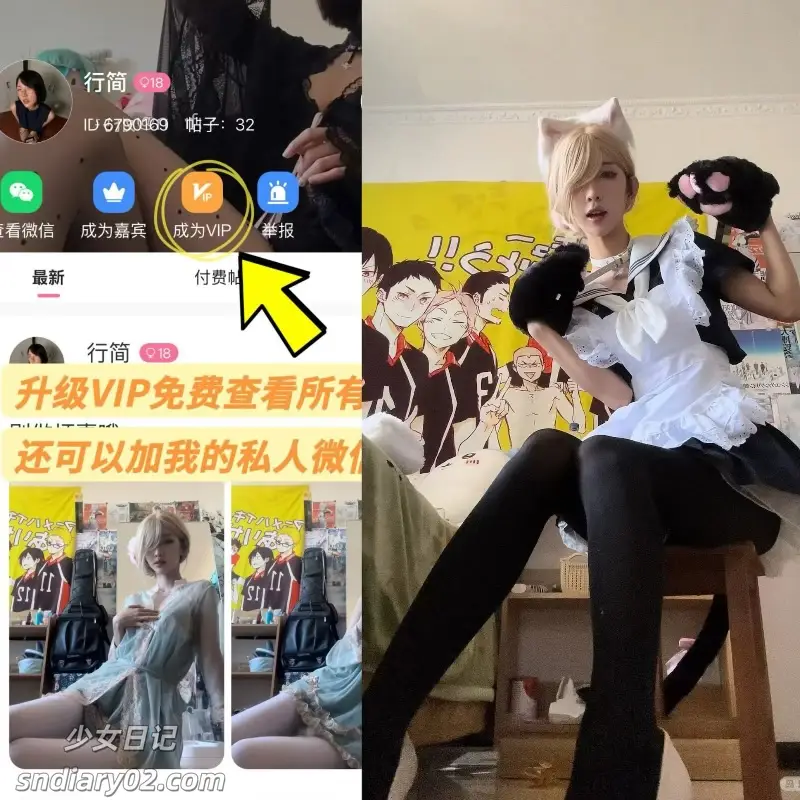 行简 写真合集岛遇下载