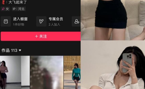 大飞起来了(飞飞以飞飞)岛遇觅圈微密圈最新合集下载